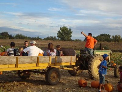 hayride hayride