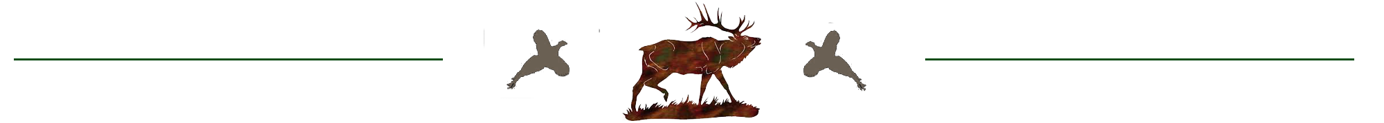 elkicon elkicon